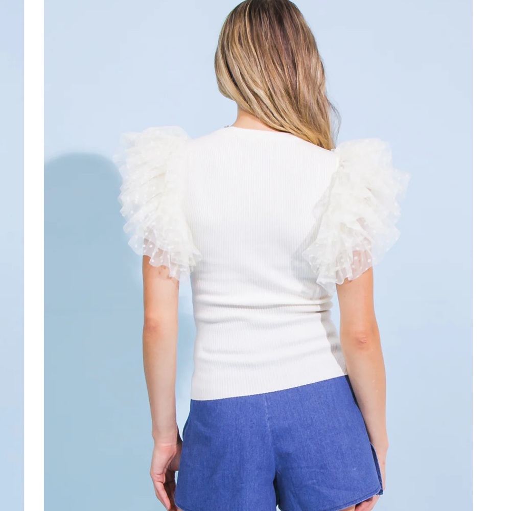 NWOT “Here Comes the Sunset” knit top with tulle sleeves